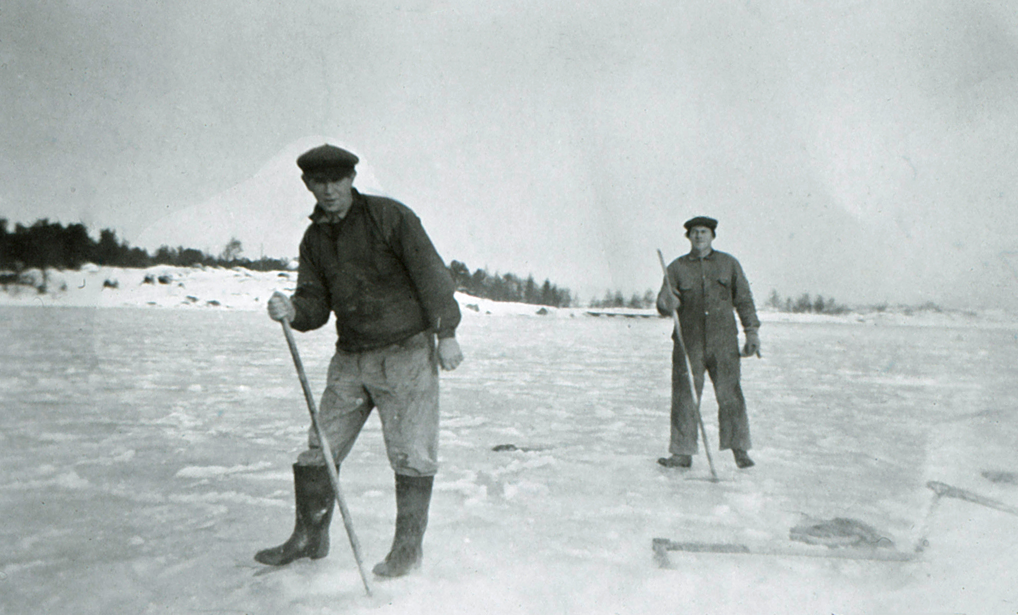 Hottning av Ã¥l. Fotot tillhÃ¶r Ellen MÃ¥rtensson.


