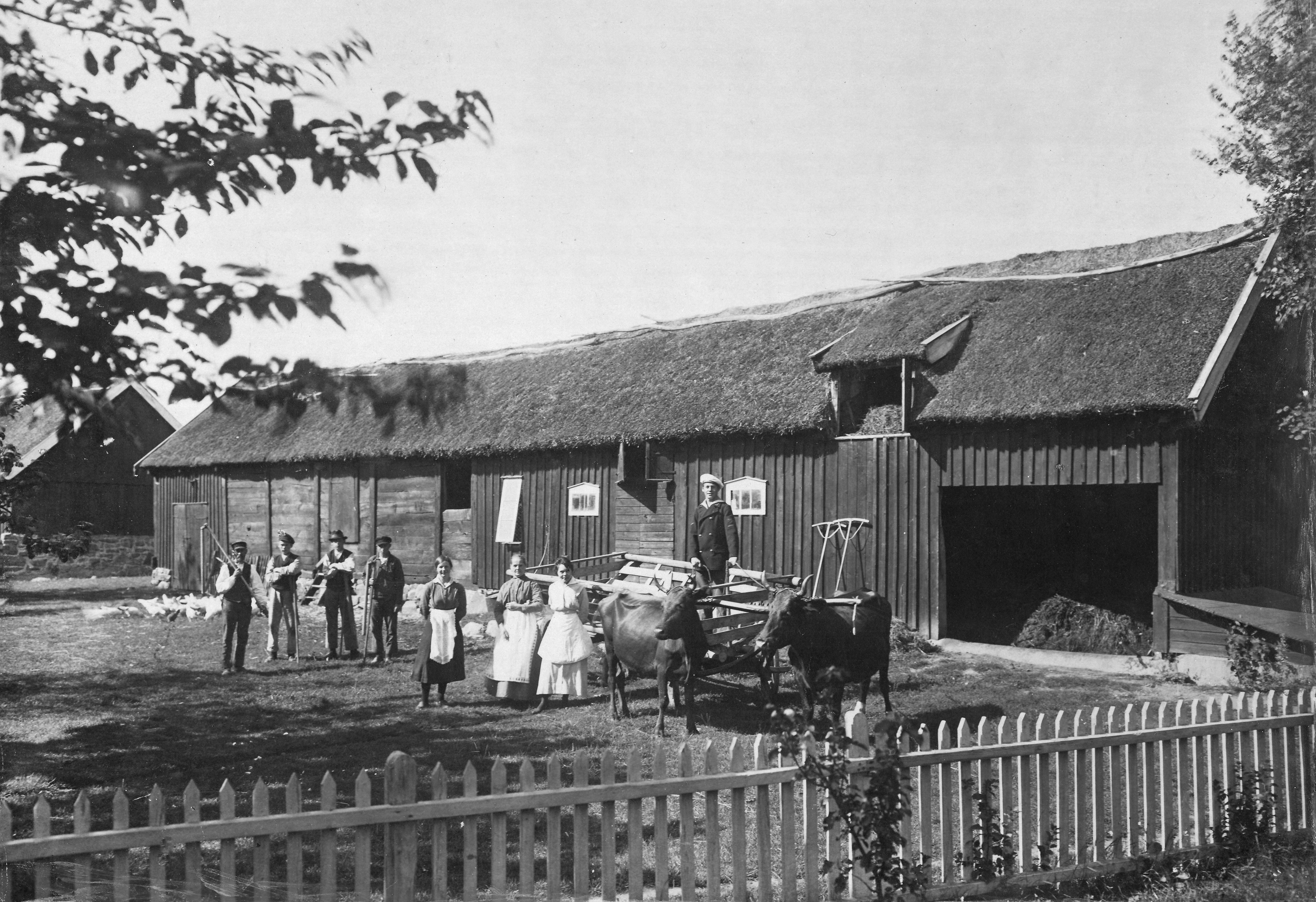 Arnold Bergqvists fÃ¶rÃ¤ldragÃ¥rd i Truseryd 1922. Foto: Otto Bergqvist.



