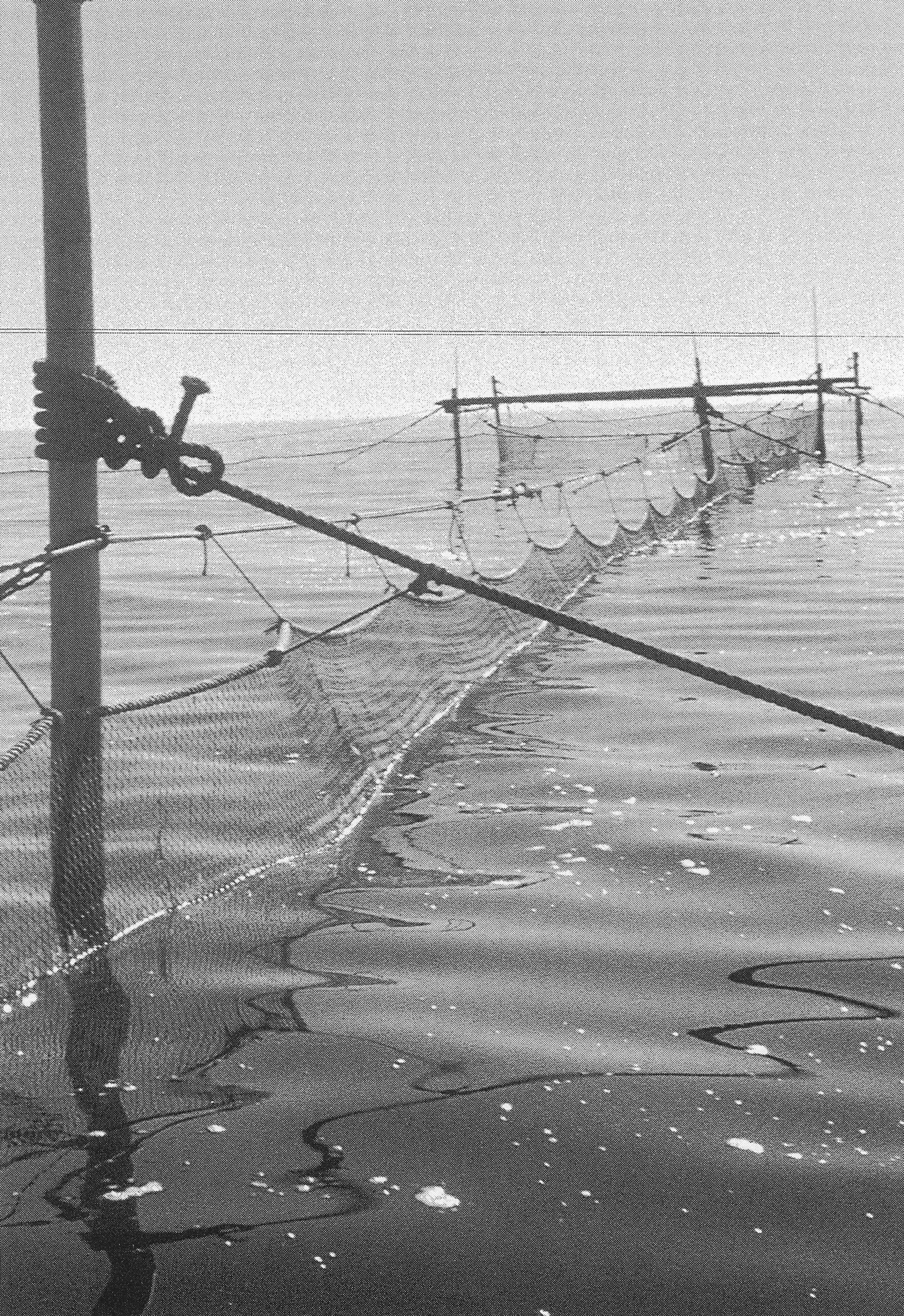 Ã…lbottengarn i Truseryd. Fotot tillhÃ¶r Lars SjÃ¶strand.



